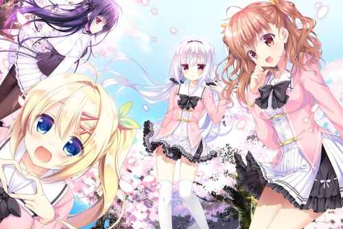 Sakura hitohira koi moyou kimppakuva