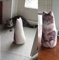 Juhannuspäivän kipsuttelua :3