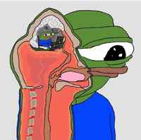 annattomia apu apustaja