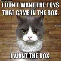 Tiedätkö mihin saat työntää lelusi huumoon?