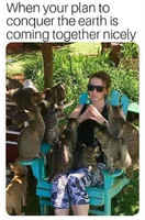 Suunnitelmamme etenevät nautinnollisesti