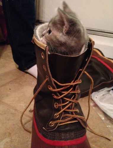 Tämä vessa on varattu!