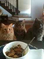 Mitäs hyvää sinulla siinä on?