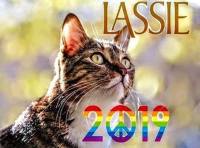 Lassie 2019