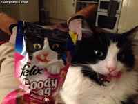 Kuin kaksi marjaa :3