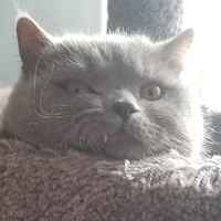 Pyysinkö herättämään?! >:3