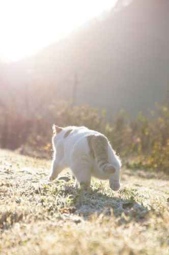 Kaikki mitä valo koskettaa... :3