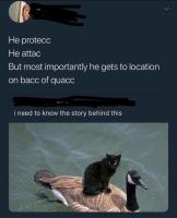 Protec cat
