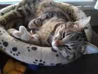 Pubun kanssa nogosilla :3