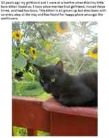 Ihmisten määrä tuplattu, kaikki sujui odotettua börheämmin :3