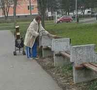 Ryssä keräämässä polttopuita