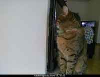 Tänään ei tarvitse kuvata ;3