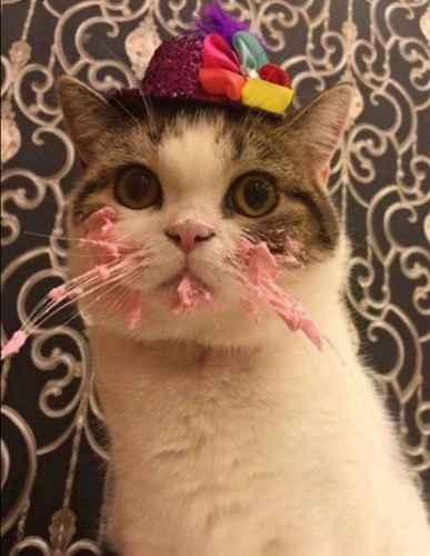 Juhlinta lähestyy loppuaan