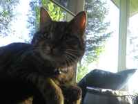 Kesäistä kellottelua :3