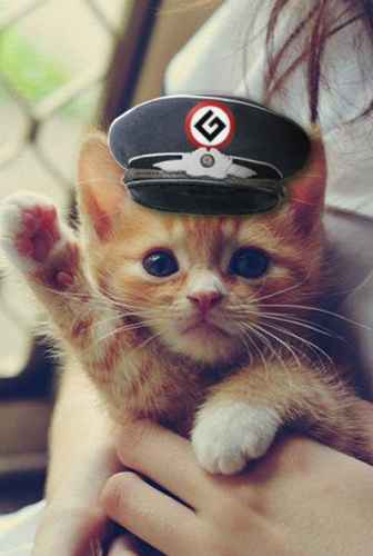 Sieg börh (check your grammar)