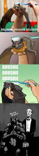 Brushie brushie :3