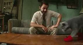 Kissagifejä (uudenvuoden tupla)