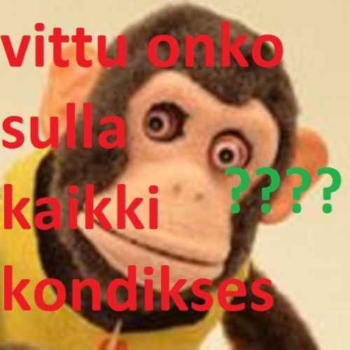 ONKO KAIKKI KONDIKSES