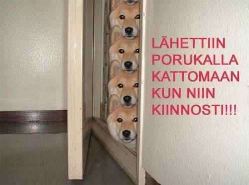 Porukalla tultiin kattoon