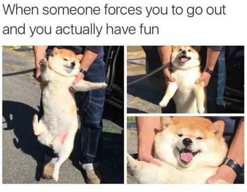 Olikin huisin hauskaa