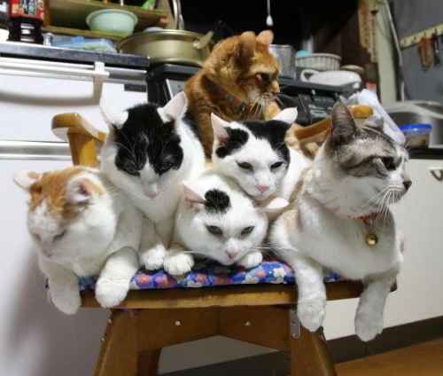 Lempituoli on lempituoli :3