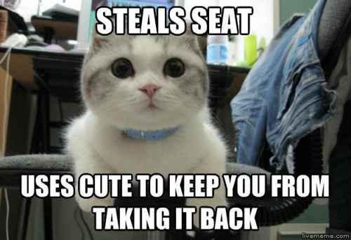 It's super börhffective :333