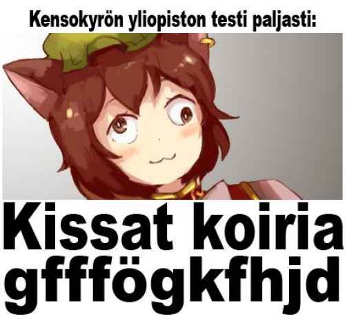 Kissat koiria gfffögkfhjd