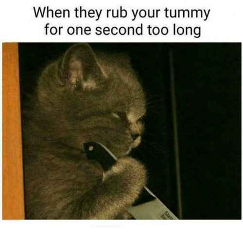 Valmistaudu kohtaamaan börheäsi >:3