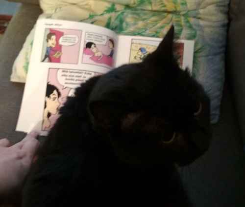 Maikki börheästi ja tasapainoisesti Kumitissit :3