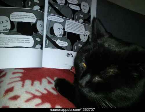 Maikki börheästi ja tuikeasti Pollarit :3