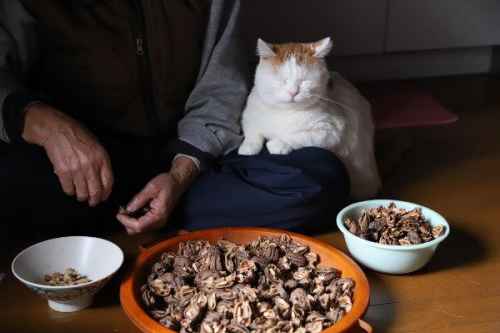 Tasapainoinen keittiöapulainen :3