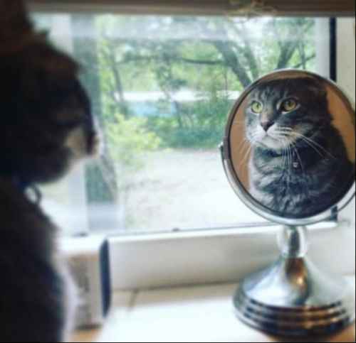 Ken on heistä kaikkein börhein.