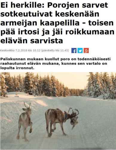 Kaksipäinen poro
