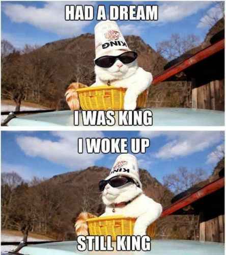 I had a dream I was king :3