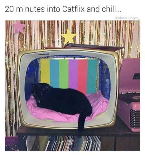 Kerrankin telkkarista tulee jotain mielenkiintoista :3