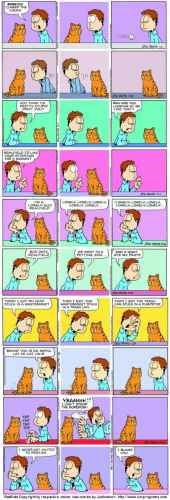 Realfield seikkailee