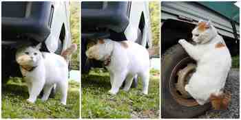 Ja sitten katsastukseen :3