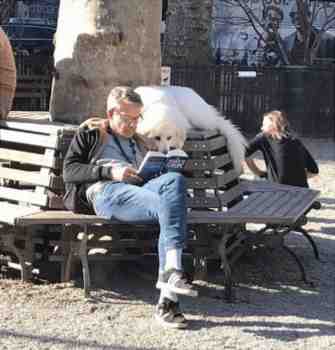 Ei ole hyvän kirjan voittanutta :3