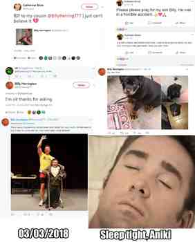 Lepää rauhassa Isoveikka