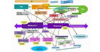 Datanomin käsitys vuokaaviosta