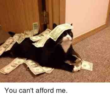 You can't afford me >:3