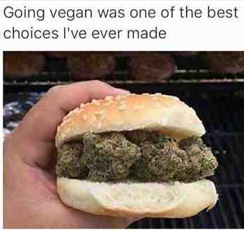 Kasvisruoka on aina parempaa