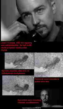 Pähkinäpullien kohtalo