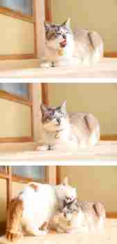 "Iskä tuu peseen..." :3