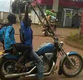 Älykkyyden multihuipentuma