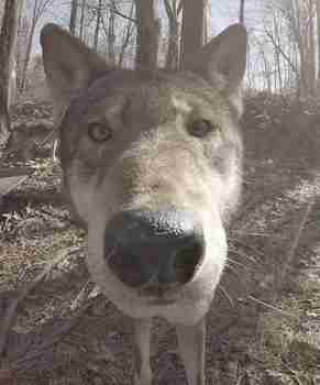 Oho, täällähän on kamera!