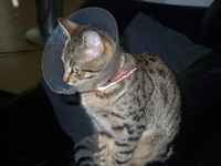 Not cool man, not cool! ;___; >:3