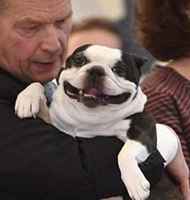 Sale tylytti trumppia- ilme