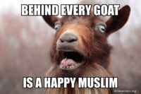 Vuohi on iloinen asia