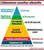Liikkumisen suositus täysi-ikäiselle